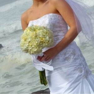 David’s Bridal gown. Worn once. Great condition!